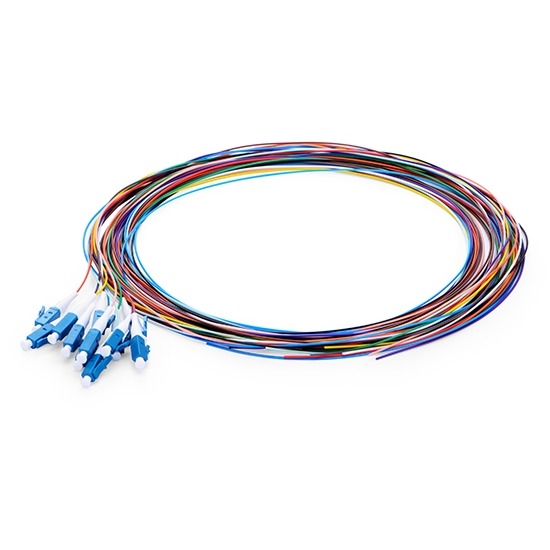 WhatsApp Image 2025-01-18 at 5.26.58 PM (2)