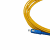 Untitled design (23)