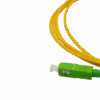 Untitled design (24)
